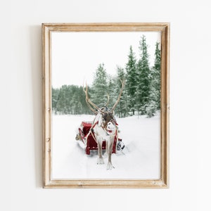 May include: A framed print featuring a reindeer pulling a red sleigh through a snowy forest. The reindeer has large antlers and is wearing a red harness. The background shows snow-covered trees and a white sky. The frame is a light brown color.