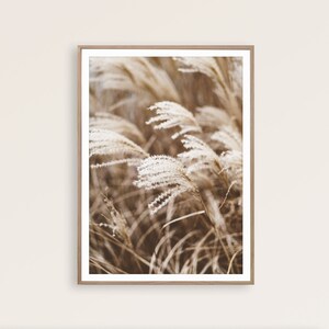 May include: A framed print featuring a close-up of tall, feathery ornamental grasses in shades of beige and brown. The artwork has a soft, natural aesthetic, perfect for adding a touch of nature-inspired decor to any space. The print is in a wooden frame.