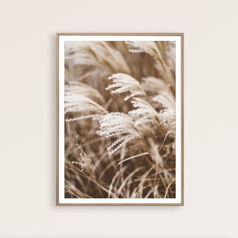May include: A framed print featuring a close-up of tall, feathery ornamental grasses in shades of beige and brown. The artwork has a soft, natural aesthetic, perfect for adding a touch of nature-inspired decor to any space. The print is in a wooden frame.