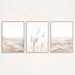 Neutral Beach Print Set of 3 Wall Art Boho Decor Coastal Wall Art Pampas Grass Print Minimalist Wall Art Ocean Poster Landscape Photography 