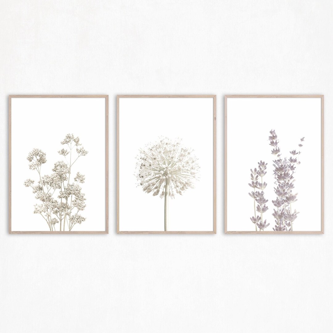 Wildflower Botanical Print Set, Farmhouse Style Wall Art, Digital ...