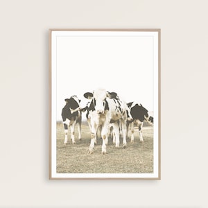 Cow Print Rustic Farmhouse Kitchen Decor Cow Wall Art Farmhouse Art Cow Printable Cattle Photography Ranch Print Farmhouse Poster Farm Print