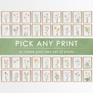 Vintage Botanical Prints Floral Wall Art Farmhouse Wall Decor French Country Wall Art Rustic Prints Minimalist Flower Art Gallery Poster