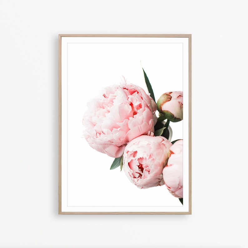 Peony Wall Art Flower Print Peony Print Botanical Wall Art - Etsy