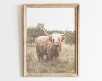 Estampado de vaca de las Tierras Altas, decoración rústica de granja, póster de granja, imagen campestre, arte de pared imprimible