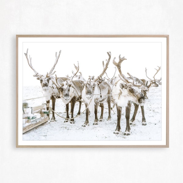 Winter Print Reindeer Print Scandi Christmas Decor Winter Wall Art Christmas Printable Nordic Poster Scandinavian Wall Art Holiday Decor