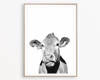 Cow Photography Print, Modern Farmhouse Wall Decor, Rustic Country Art, Farm Animal Print
