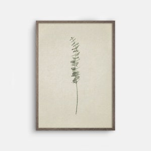 May include: A framed print of a watercolor painting of a single sprig of eucalyptus leaves on a beige background.