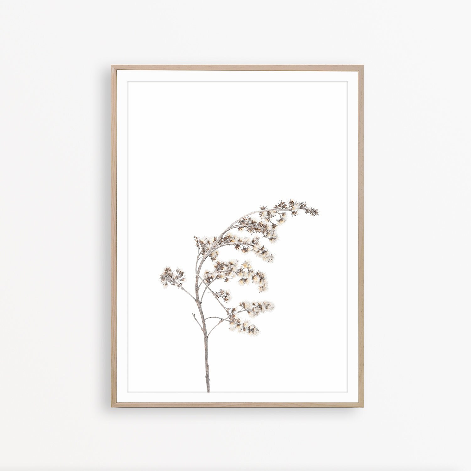 Dried Flowers Art Art Prints Minimalist Wall Art Farmhouse Print Wild Flower Print Minimalist Print Minimalist Art Flowers Prints