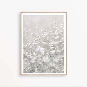 Botanical Print Flower Print Rustic Wall Art Farmhouse Decor Bedroom Print Pastel Wall Art Botanical Art Print Rustic Poster Farmhouse Print