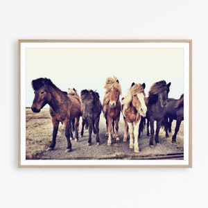 Wild Horse Print Iceland Horses Wall Art Horse Photography Icelandic Print Farmhouse Wall Art Wilderness Decor Horse Poster Farmhouse Print