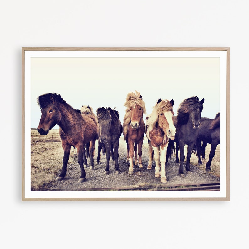 Wild Horse Print Iceland Horses Wall Art Horse Photography Etsy