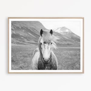 Horse Print Black and White Horse Print Nordic Poster Horse Decor Equestrian Art Printable Large Wall Art Equine Art Scandinavian Print