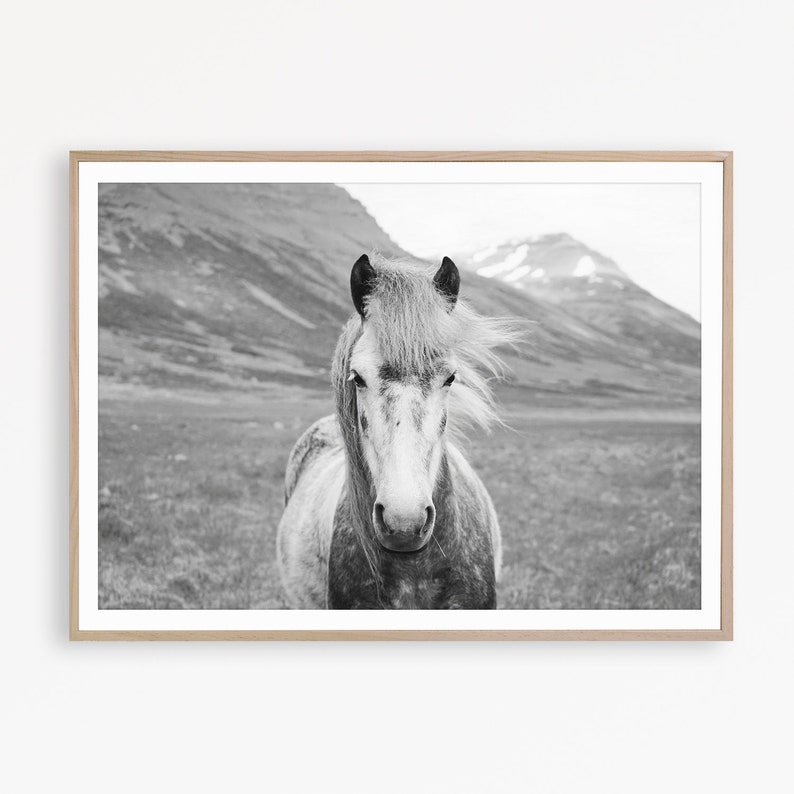 Horse Print Black and White Horse Print Nordic Poster Horse Etsy