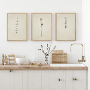 May include: Three framed botanical prints with illustrations of different plants, hanging on a white wall above a kitchen counter with a sink and faucet.