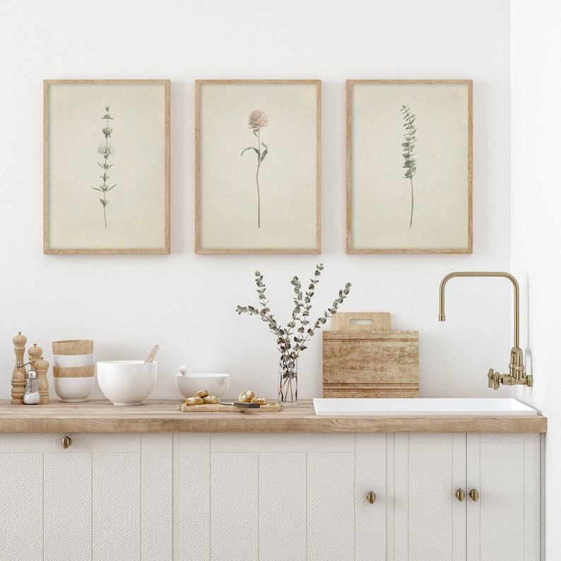 May include: Three framed botanical prints with illustrations of different plants, hanging on a white wall above a kitchen counter with a sink and faucet.