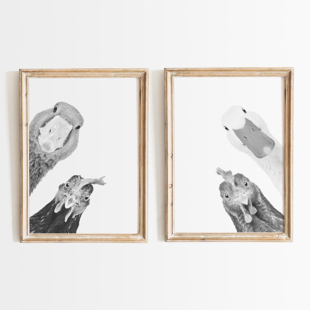 Farm Animal Prints Set: Goose and Chicken, Country Rustic Farmhouse ...