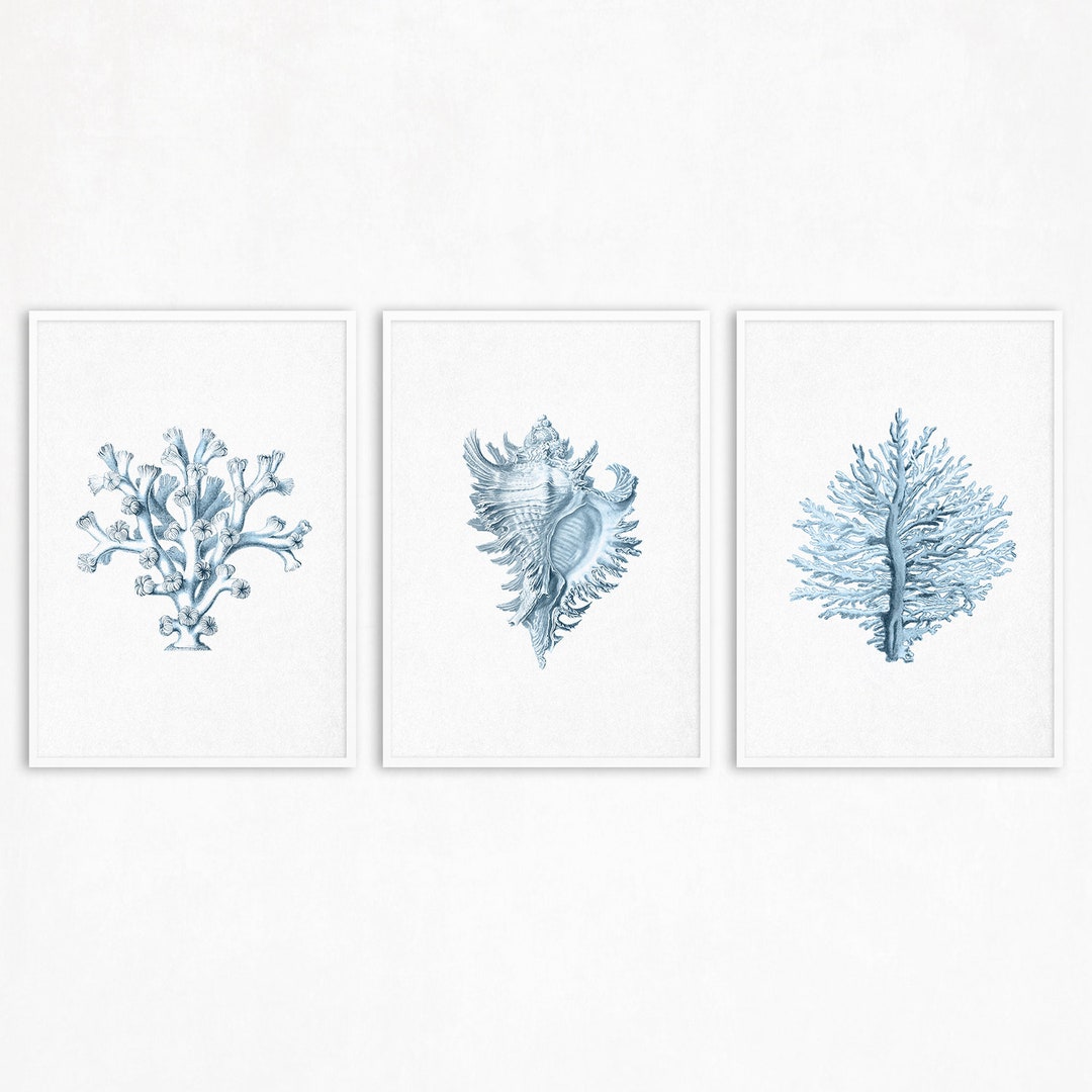 Blue Nautical Print Set Coral Art Light Blue Nursery Prints Sea Life ...