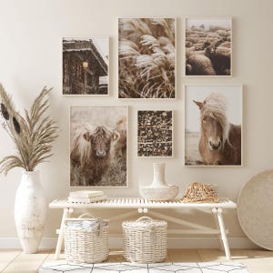 May include: A gallery wall featuring framed art prints with a rustic, farmhouse aesthetic. The prints depict scenes of nature, including a Highland cow, a horse, and a field of tall grass. The color palette is neutral with warm tones.