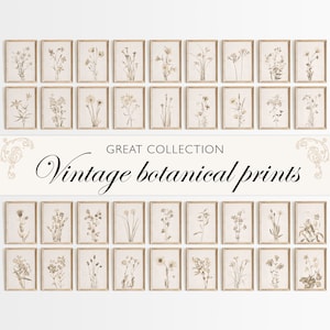 Vintage Botanical Prints Gallery Wall Set Vintage Prints Floral Prints Antique Flower Prints Neutral Wall Art Rustic Farmhouse Decor