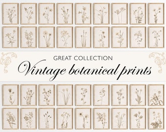 Vintage Botanical Prints Gallery Wall Set: 36 Neutral Flower Art, Farmhouse Decor, Digital Download