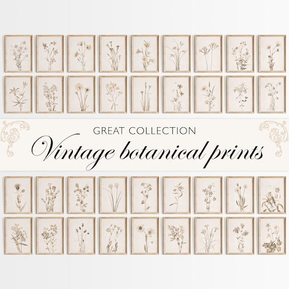 Vintage Botanical Prints Gallery Wall Set: 36 Neutral Flower Art, Farmhouse Decor, Digital Download