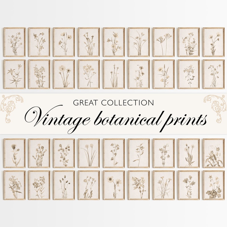 May include: A collection of 36 vintage botanical prints in gold frames, arranged in a grid on a white wall. The prints feature various types of flowers and plants, all drawn in a delicate, detailed style. The text "GREAT COLLECTION Vintage botanical prints" is displayed in a decorative font below the prints.