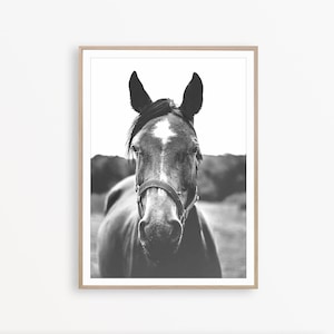 Horse Wall Art Southwestern Decor Horse Print Farmhouse Wall Art Western Decor Horse Photo Equestrian Horse Poster Black & White Horse Print