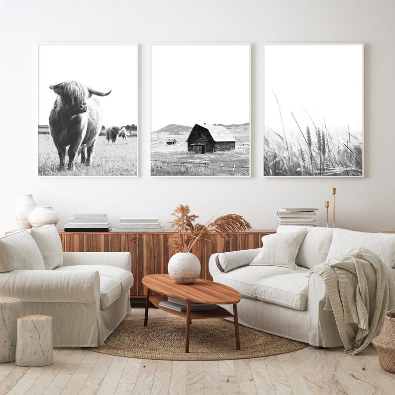 May include: A set of three black and white photographs featuring a highland cow, a barn, and tall grass. The photographs are framed and hung on a white wall above a wooden cabinet and a white couch.