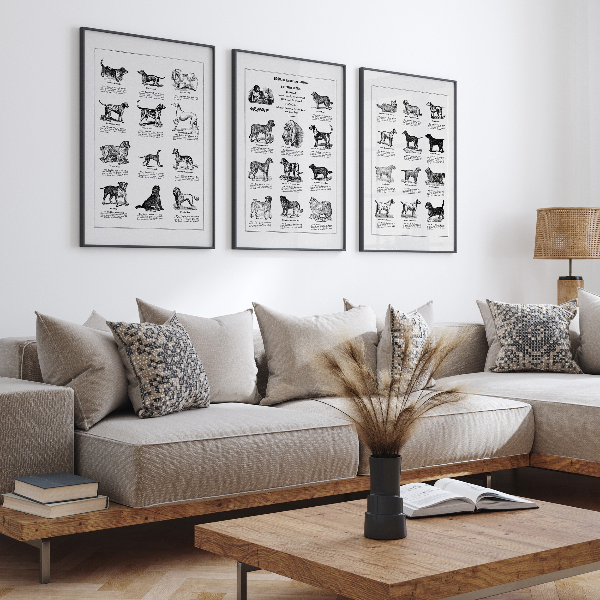 vintage-dog-breeds-print-set-pet-wall-art-grooming-salon-decor-dog