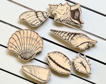 Seashells Laser cut files. SVG, AI, PDF, glowforge file, laser cut template, laser svg, laser pattern