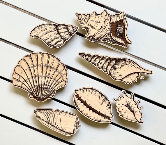 Seashells Laser Cut Files: Glowforge Template (SVG, PDF, AI)
