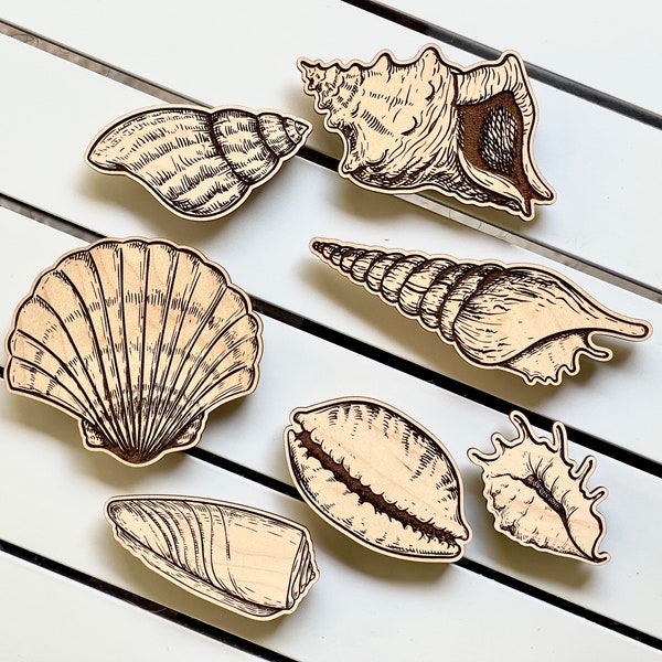 Seashells Laser cut files. SVG, AI, PDF, glowforge file, laser cut template, laser svg, laser pattern