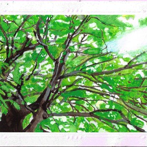 James Spaeth Art Set of (4) Photo Mount Note Cards from Original Art Trees