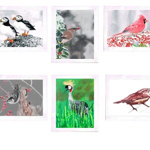 James Spaeth Art set of (6) Bird photo mount note/greeting cards from original art