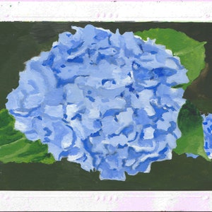 James Spaeth Art set of (6) photo mount note/greeting cards &quot;Hydrangea&quot; from Original Art