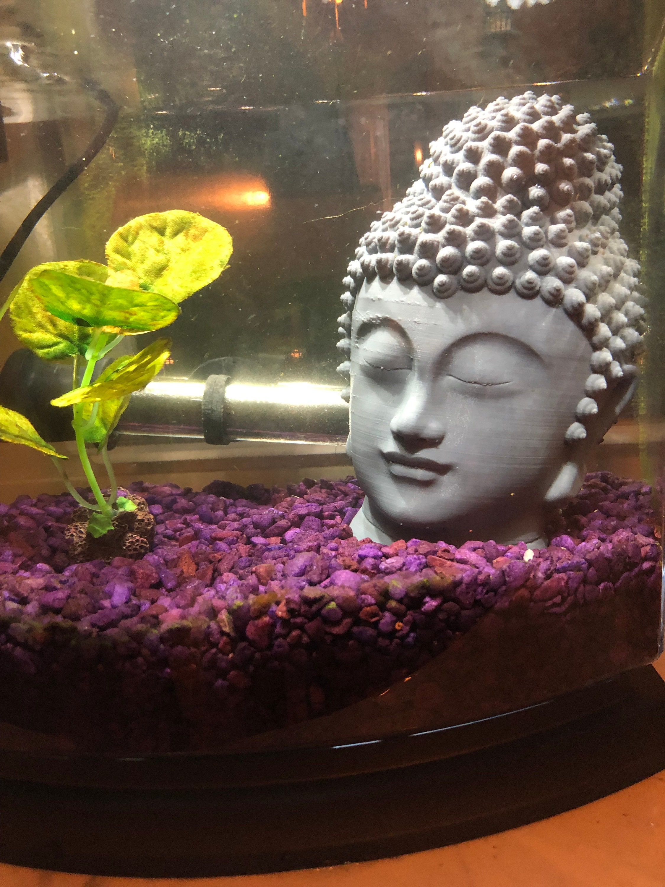 buddha fish tank