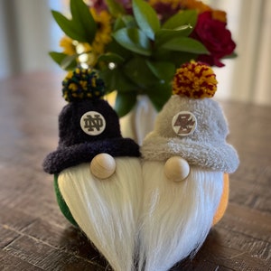 College Gnomes--Custom Gnome