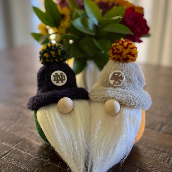 College Gnomes--Custom Gnome