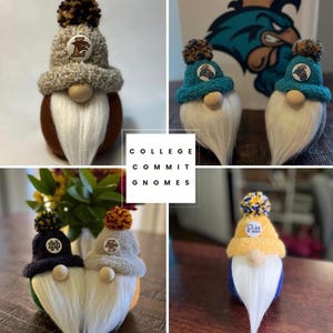 College Gnomes--Custom Gnome