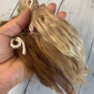 Natural Suri Alpaca Locks for Angel Fairy Hair, 3 Color Assortment, Handshorn with LOVE in Texas