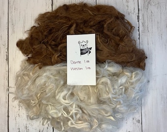 Premium Suri Alpaca Fleece Sampler Beige and Brown, Washed Wool, Alpacas Hand Shorn with Love and Respect inTexas