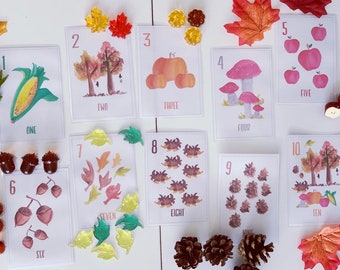 Hand painted watercolor autumn number flash cards.