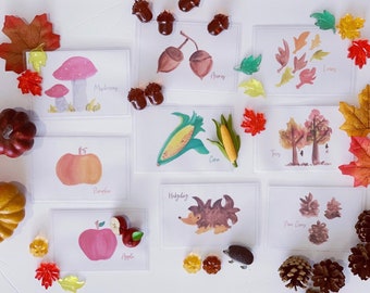 Autumn Fall Flash cards