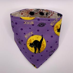 Cat Bandana Reversible /  Black Cat / Witches / Halloween / Over the Collar OR Snap Bandana