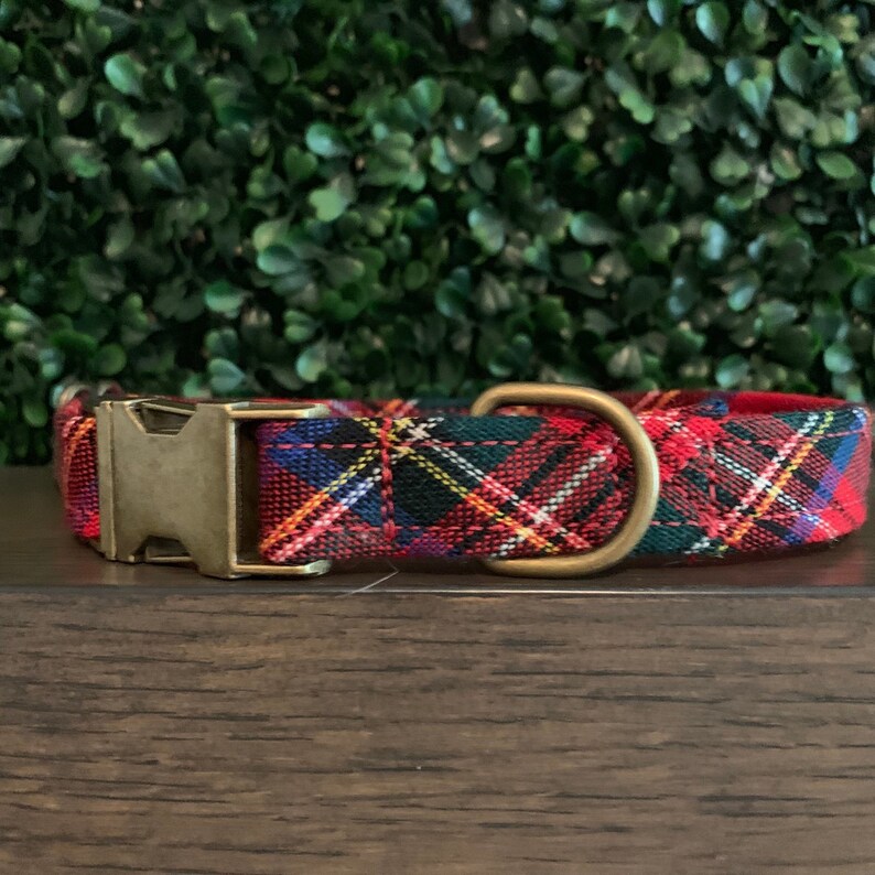 Proceeds benefit local rescues! UPCYCLED Collar made from a NECKTIE 34 Wide MEDIUM Dog Collar Handmade One-of-a-kind