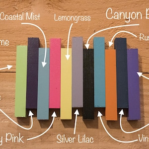 May include: A collection of ten paint color samples, each labeled with a different color name. The colors are: Coastal Mist, Lemongrass, Canyon Black, Rustic Orange, Grape, True Navy, Vintage Teal, Berry Pink, Silver Lilac, and Key Lime.
