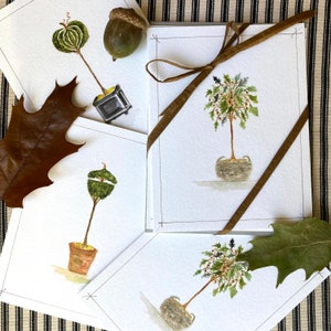 Autumn Watercolor Notecard set of Three Assorted