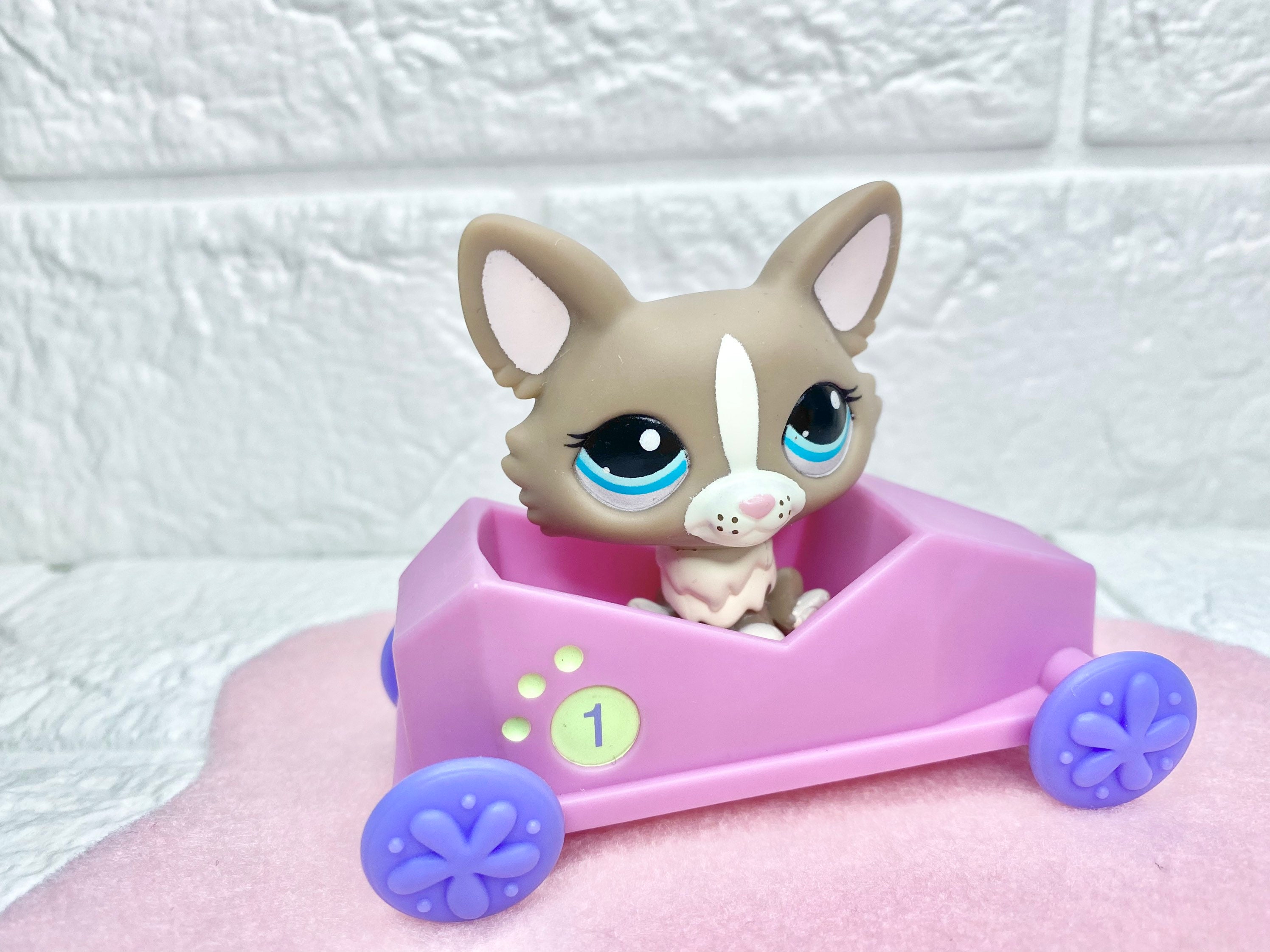 Vintage Littlest Pet Shop Lps Old Littlest Pet Shop Old Etsy