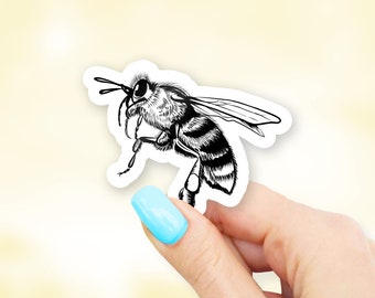 Drawn Bee Sticker - bug stickers | bee stickers | MacBook stickers | laptop stickers | waterbottle stickers | hydroflask sticker